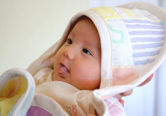 京都府京都市左京区の幼稚園保育士/幼稚園教諭の求人情報の写真