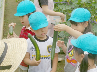 食育に力を入れています。 きよせ保育園保育士の求人情報の写真